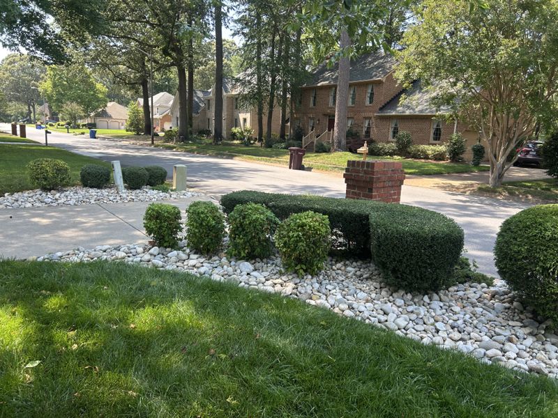 Shaped shrubs and a white rock border beside a driveway