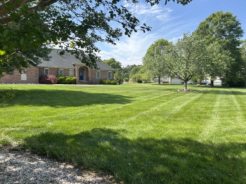 Fresh mowing stripes across a front lawn