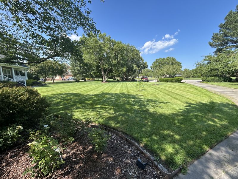 Mowed front lawn beside a mulched garden bed
