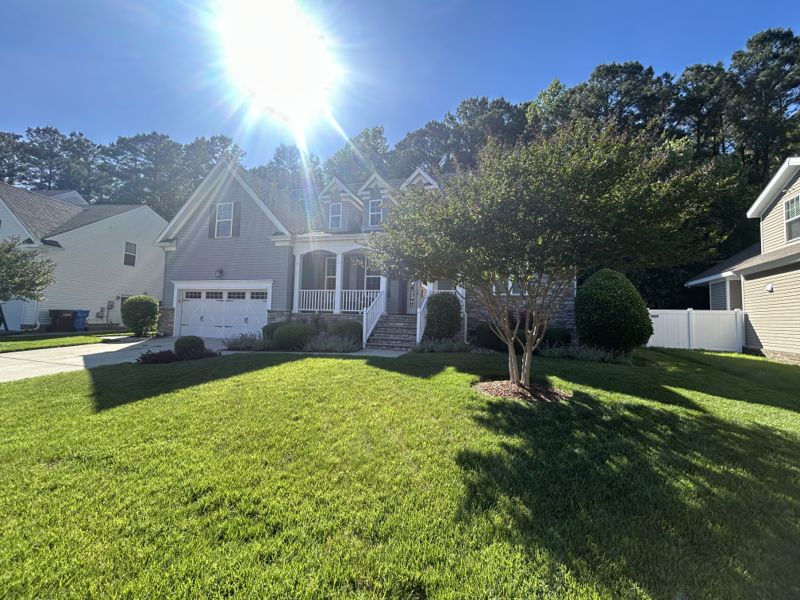 Maintained residential lawn with a mulched tree bed