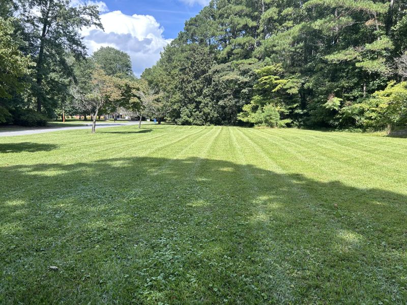 Striped lawn bordered by mature trees